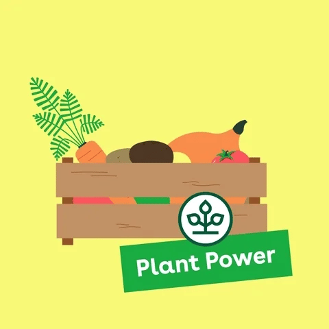 Plant-Based Certification: Why It’s a Smart Move for Brands