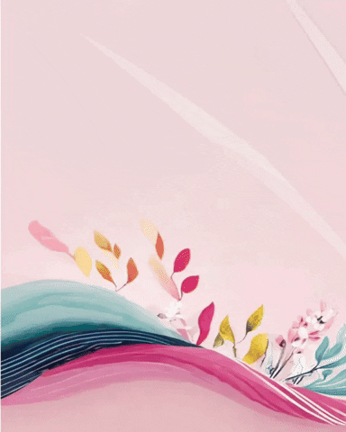 The Smart Parent’s Snack Rule: Always Read the Label